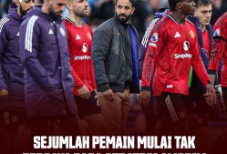 包含冲刺阶段欧篮联传出新动向；曼联刷新队史纪录；管理层表态：态度坚定；团队化学反应显著的词条